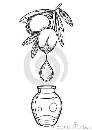 Graphic oil drop dripping from the argan plant into the small glass bottle Vector Illustration
