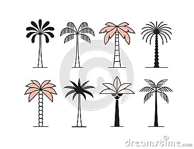 Graphic palm tree icon, logo set Vector Illustration