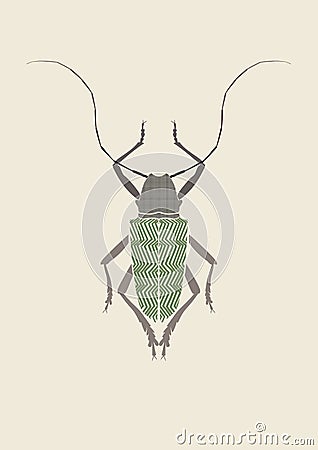 Graphic print of titan beetle. Vector Illustration