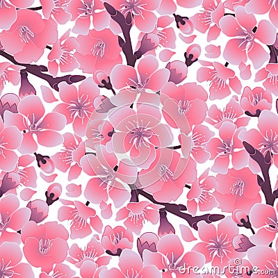 Graphic sakura pattern Vector Illustration