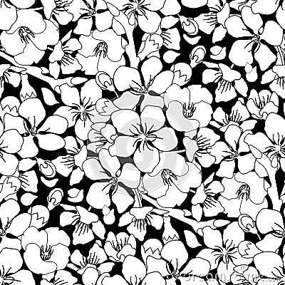 Graphic sakura pattern Vector Illustration