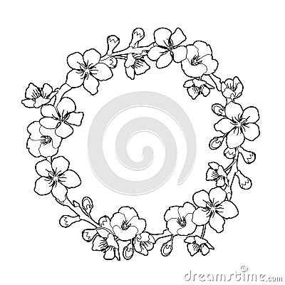 Graphic sakura wreath Vector Illustration