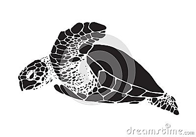 Graphic sea turtle, vector Vector Illustration