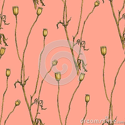 Graphic Seamless pattern with poppy. Floral background wallpaper. Stock Photo