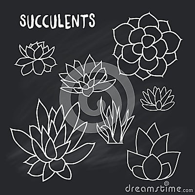 Graphic Set of succulents on chalk board for design of cards, invitations Vector Illustration