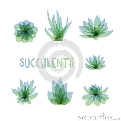 Graphic Set of succulents on white background for design of cards, invitations Vector Illustration