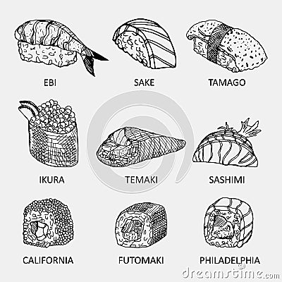 Graphic sketch of different kinds of sushi. Vector Illustration