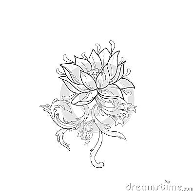 Graphic sketch of lotuses in ornament on a white background. Vector Illustration