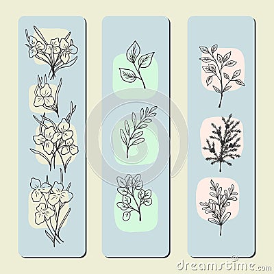 Graphic sketches of flowers of organic botany plants on separate sheets, printing and design of bookmarks or tags Vector Illustration