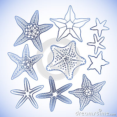 Graphic starfish collection Vector Illustration