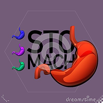 Modern beautiful stylized monotone human stomach organ symbols and icons - part of a set Vector Illustration