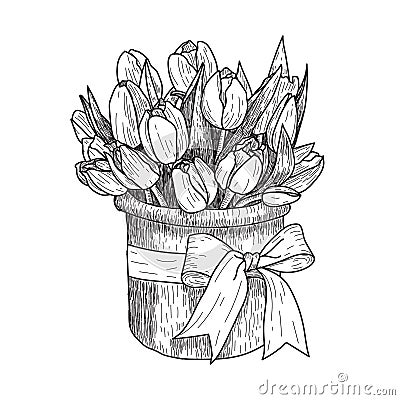 Graphic vector illustration of tulip. Hand drawn artwork. Love concept for wedding invitations, cards, tickets Vector Illustration