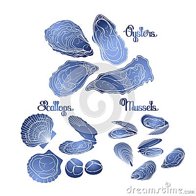 Graphic vector mussels, oysters and scallops Vector Illustration