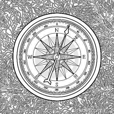 Graphic wind rose compass Vector Illustration