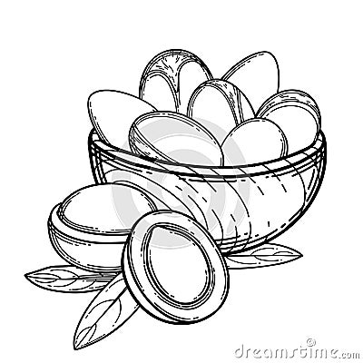 Graphic wooden bowl dish with argan fruits inside. Vector Illustration