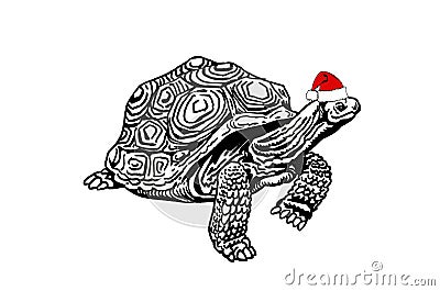 Graphical christmas element , turtle in red Santa Claus hat isolated on white background Vector Illustration