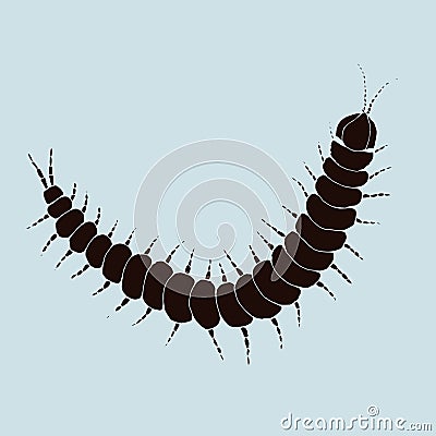 A graphical illustration of a centipede in black Vector Illustration