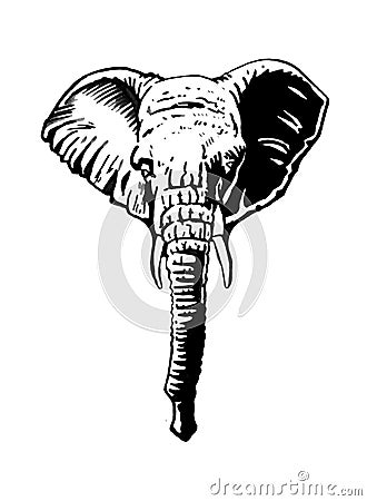 Graphical portrait of elephant isolated on white background, vector illustration Vector Illustration