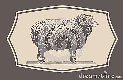 Graphical Ram, Sheep Vector Illustration