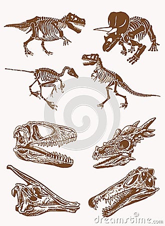 Graphical sepia set of dinosaur skeletons, vintage illustration Vector Illustration