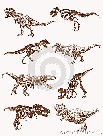 Graphical set of dinosaurs, sepia vector illustration Vector Illustration