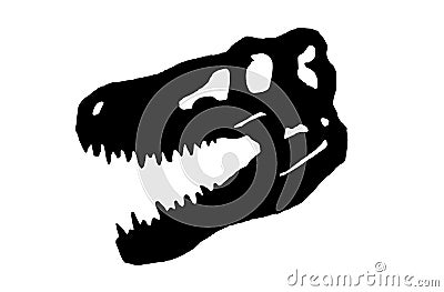 Graphical skull of tyrannosaurus isolated on white ,jpg illustration Cartoon Illustration