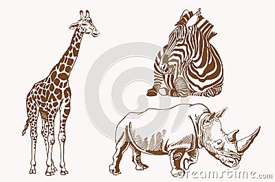 Graphical vintage set of savanna animals , sepia background,vector illustration Vector Illustration