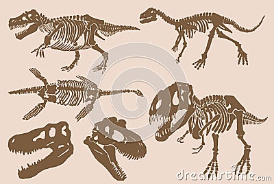 Graphical vintage set of skeletons of tyrannosaurus and skulls , vector fossils Vector Illustration