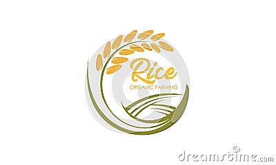 Paddy wheat, rice organic grain products food banner logo Vector Illustration