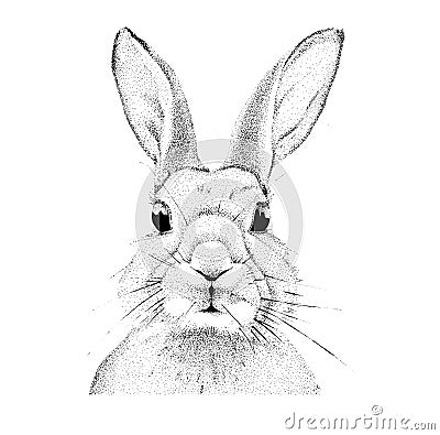 Graphics handmade rabbit Stock Photo