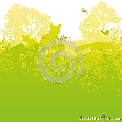 Three foxes in the garden on a green meadow Vector Illustration