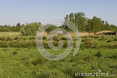 Grasland in Rottige Meente, Grassland at Rottige Meente Stock Photo