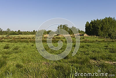 Grasland in Rottige Meente, Grassland at Rottige Meente Stock Photo