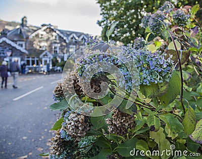 Grasmere, Lake District, Cumbria, England - a street. Stock Photo
