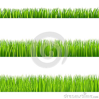 Grass Vector Illustration