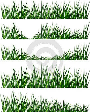 Grass Vector Illustration