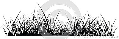 Grass Vector Illustration