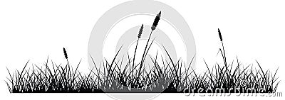 Grass Vector Illustration