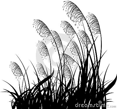 Grass Vector Illustration