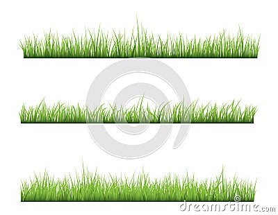 Grass Vector Illustration