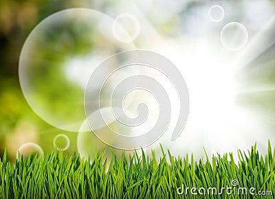 grass and abstract bubbles in the garden on a green blurred background Stock Photo