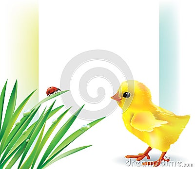 Grass and baby chick background Vector Illustration