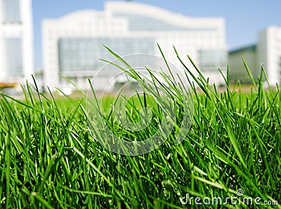 Grass on a background buildings Stock Photo