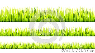 Grass banner. Cereal sprouts. Vector Illustration