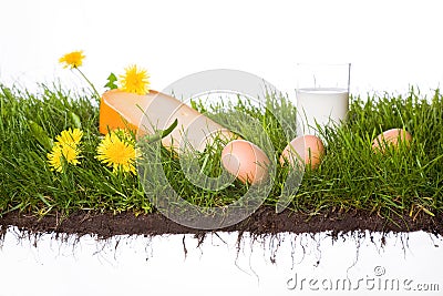 Grass with cheese milk and eggs Stock Photo