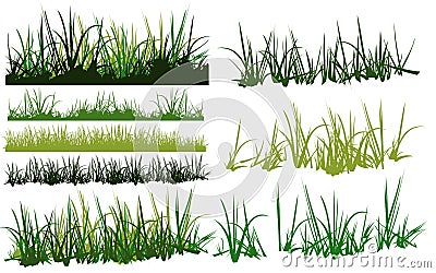 Grass collection Vector Illustration