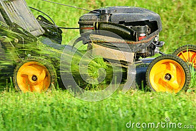 Grass - cutter Stock Photo