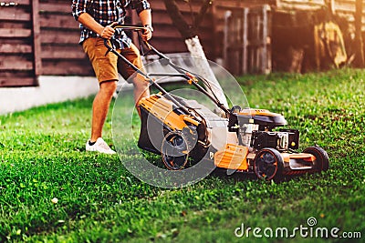 Grass cutting details. Backyard Gardening and landscaping Stock Photo