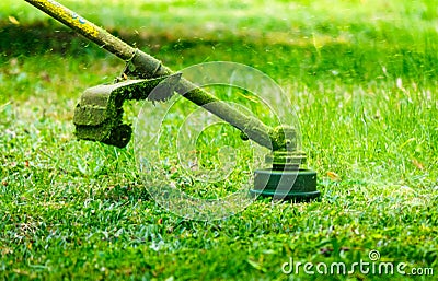 Grass cutting in the garden Stock Photo