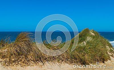 Grass Dune in Front of North Sea Stock Photo